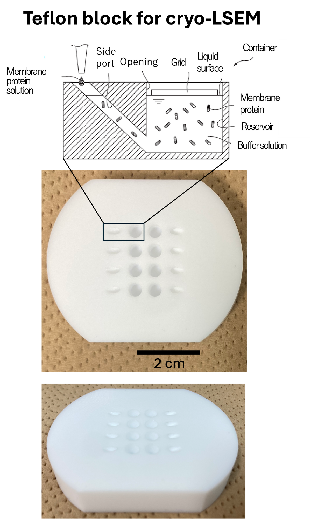 Cryo-LSEM License Set